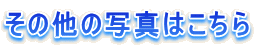 ���̑��̎ʐ^�͂�����
