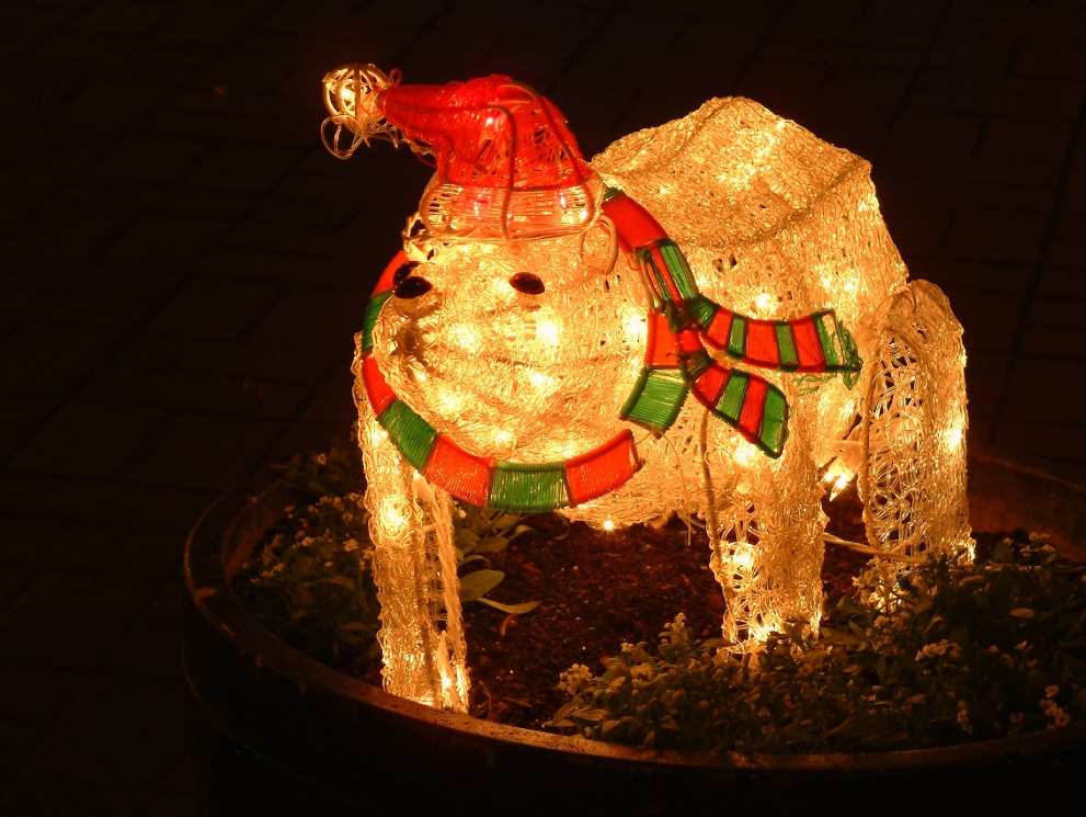 DSCF0616.JPG