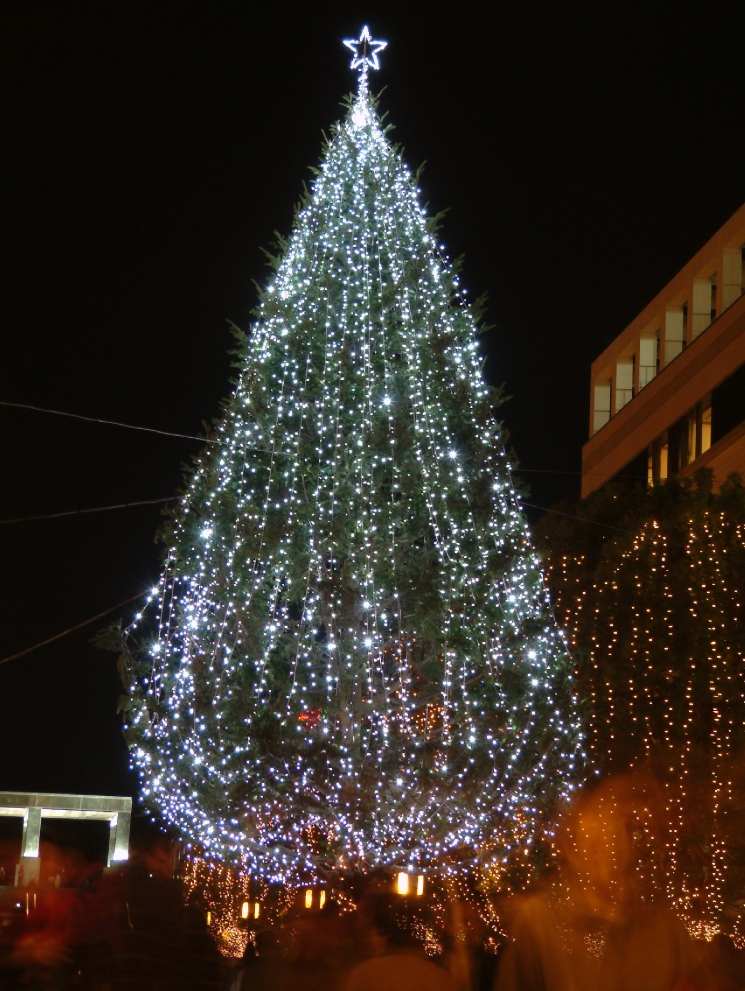 DSCF0620.JPG