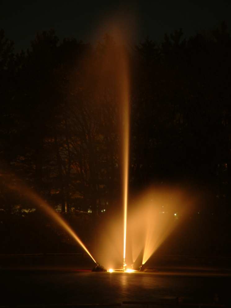 DSCF0685.JPG