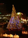 DSCF0594