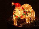 DSCF0616