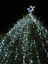 DSCF0630