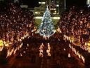 DSCF0664