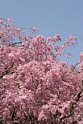 IMG_3627