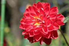�s���_��A�������ɂ�