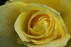 �s���_��A�������ɂ�