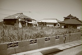 IMG_9430