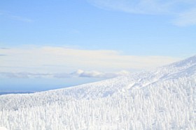 IMG_1842
