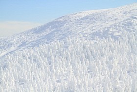 IMG_1854