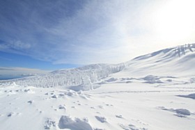 IMG_1865
