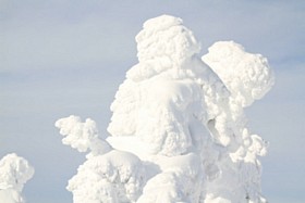 IMG_1889