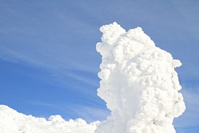 IMG_1894