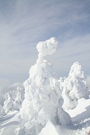 IMG_1900