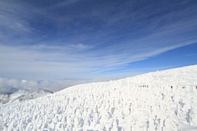 IMG_1928