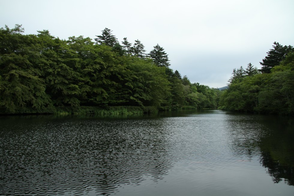 IMG_4532.JPG