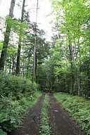 IMG_4471