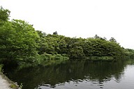 IMG_4475
