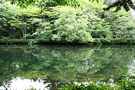 IMG_4485