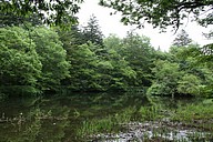 IMG_4496