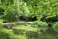 IMG_4498
