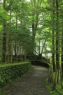 IMG_4516