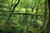 IMG_4529