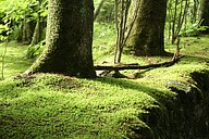 IMG_4542