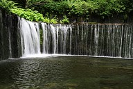 IMG_4567