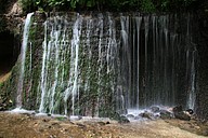 IMG_4571