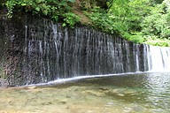 IMG_4576