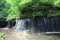 IMG_4592