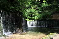 IMG_4639