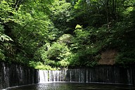 IMG_4656
