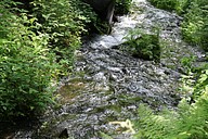 IMG_4666