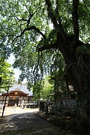 IMG_4687