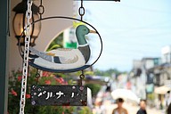 IMG_4696
