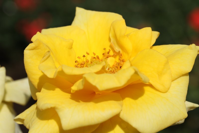 IMG_6390.JPG