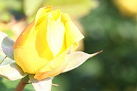 IMG_6380