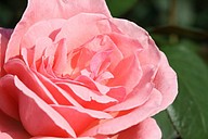 IMG_6397