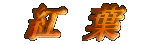  �g �t 
