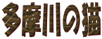 ������̔L
