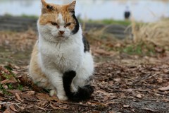 IMG_2296