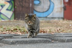IMG_2302