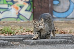 IMG_2303