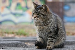 IMG_2311