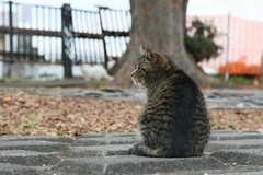 IMG_2317