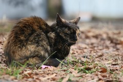 IMG_2324