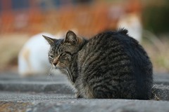 IMG_2326