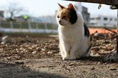 IMG_2337